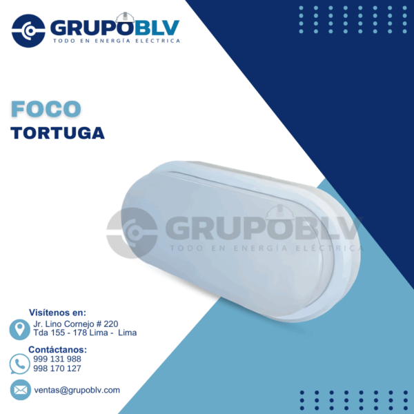 FOCO TORTUGA