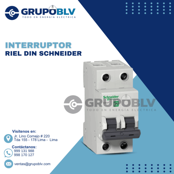 INTERRUPTOR RIEL DIN SCHNEIDER