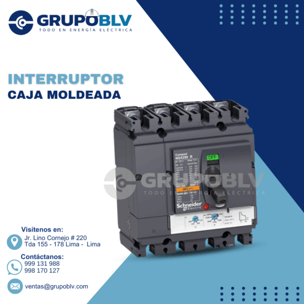INTERRUPTOR CAJA MOLDEADA SCHNEIDER ELECTRIC