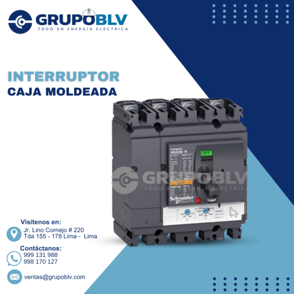 INTERRUPTOR CAJA MOLDE SCHNEIDER ELECTRIC