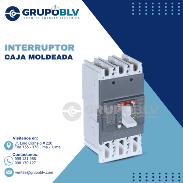 INTERRUPTOR CAJA MOLDEADA ABB