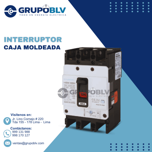 INTERRUPTOR CAJA MOLDEADA HYUNDAI